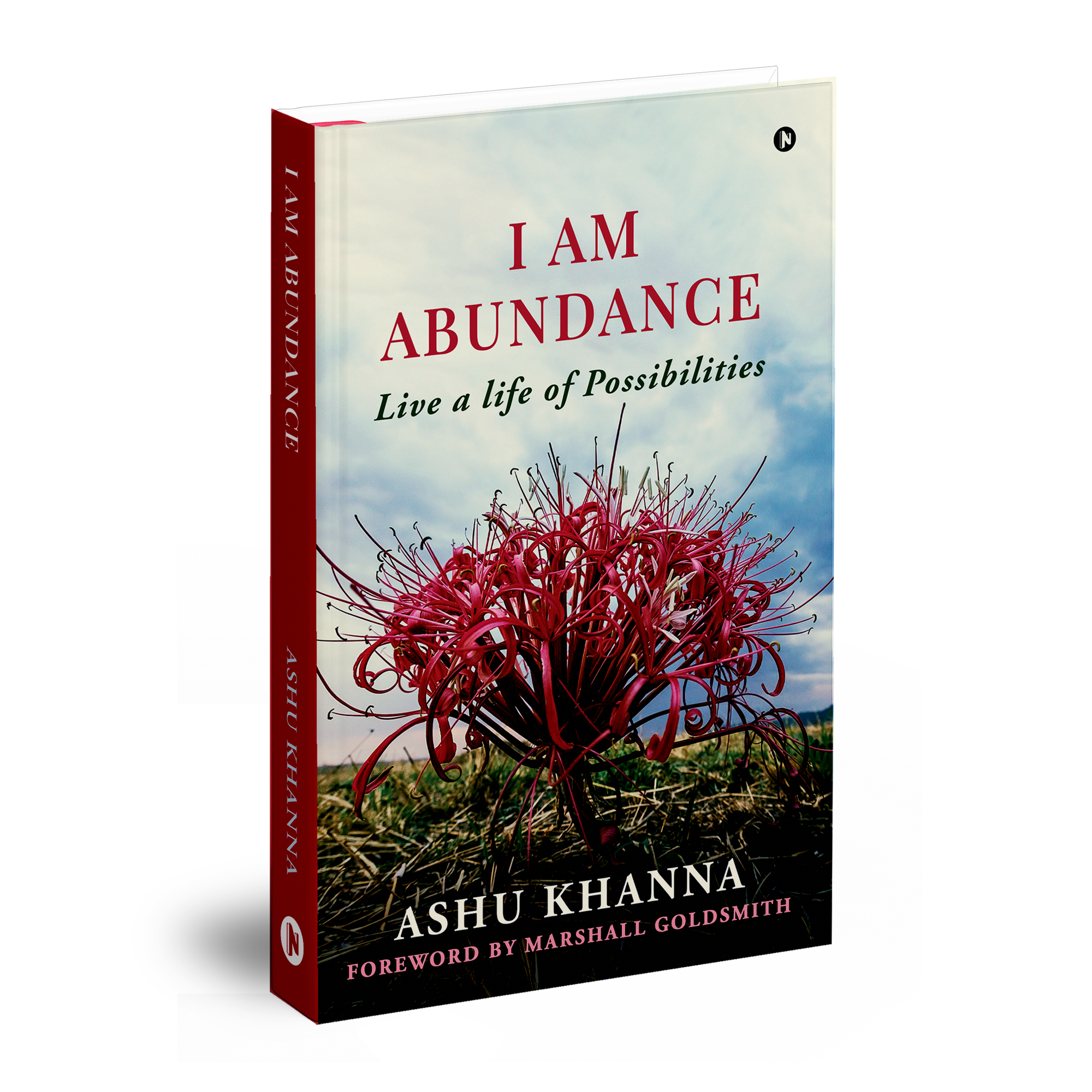 I Am Abundance